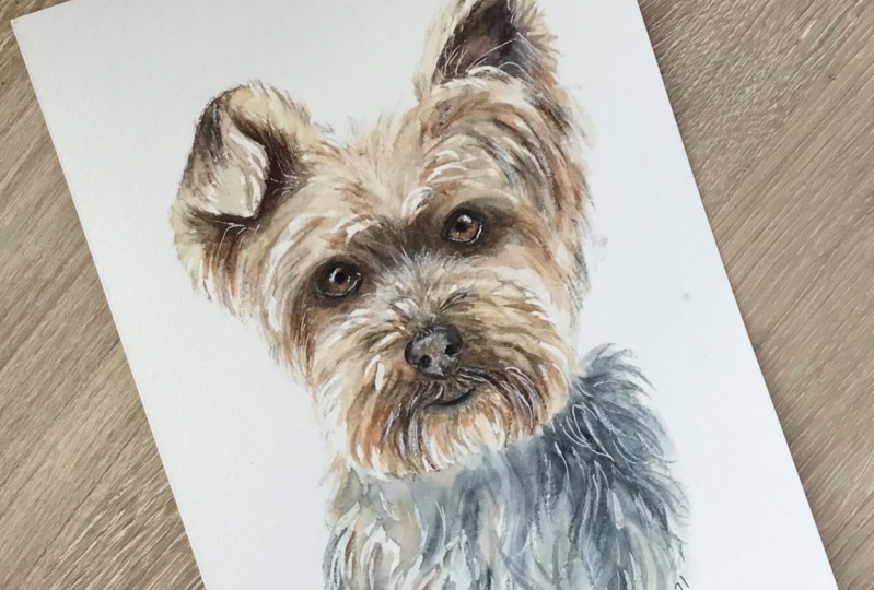 Watercolor Let's Paint a Dog Yorkie Edition! Mary Evelyn Tucker