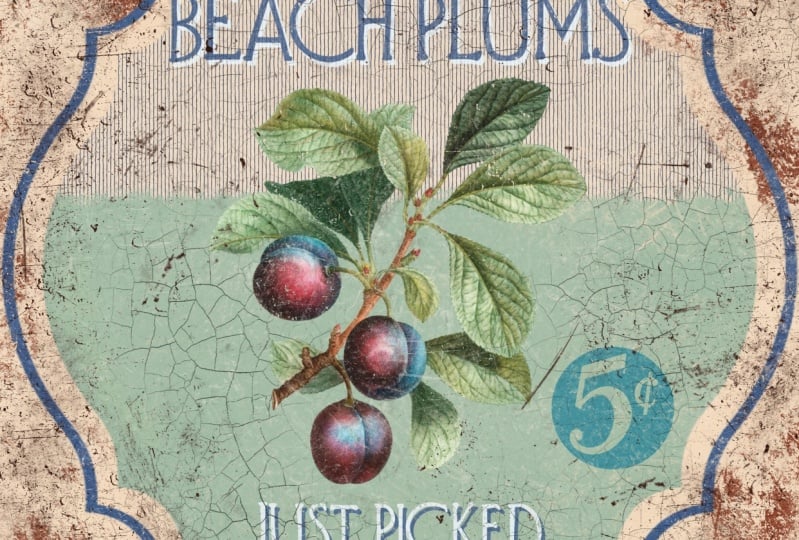 Beach Plums