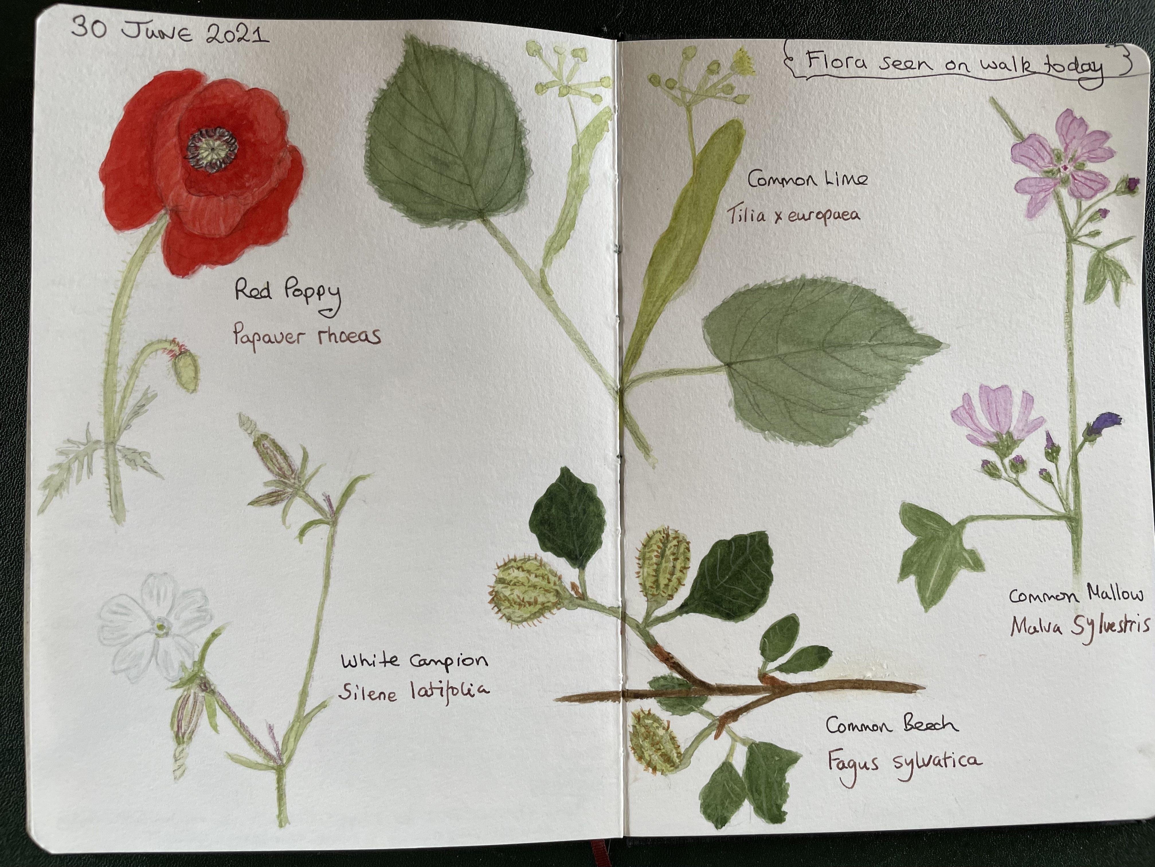 more-projects-from-class-img