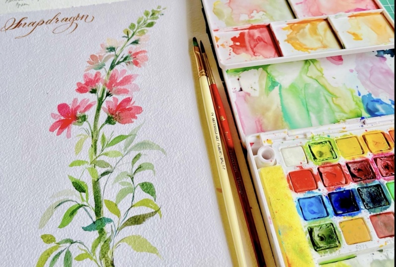 Loose Snapdragons in Watercolor