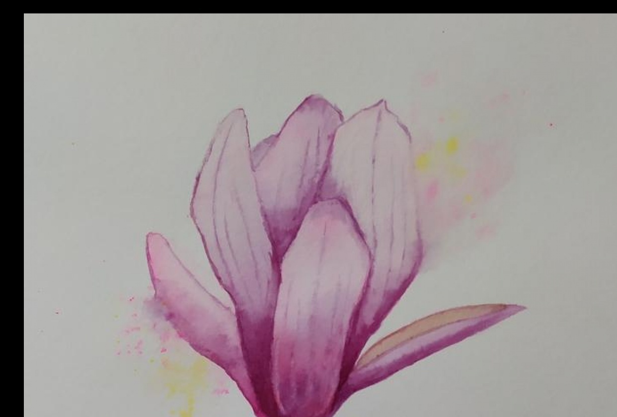 Magnolia - student project