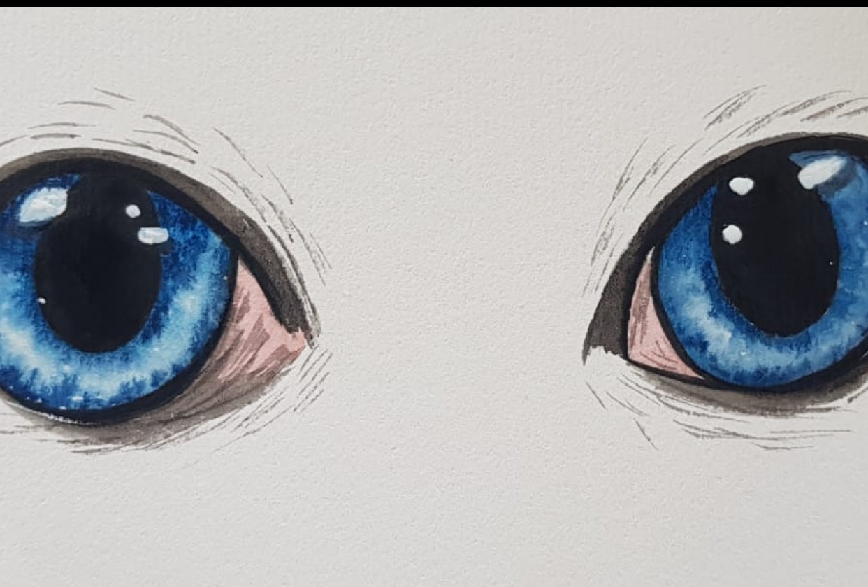 Cat Eyes! - student project