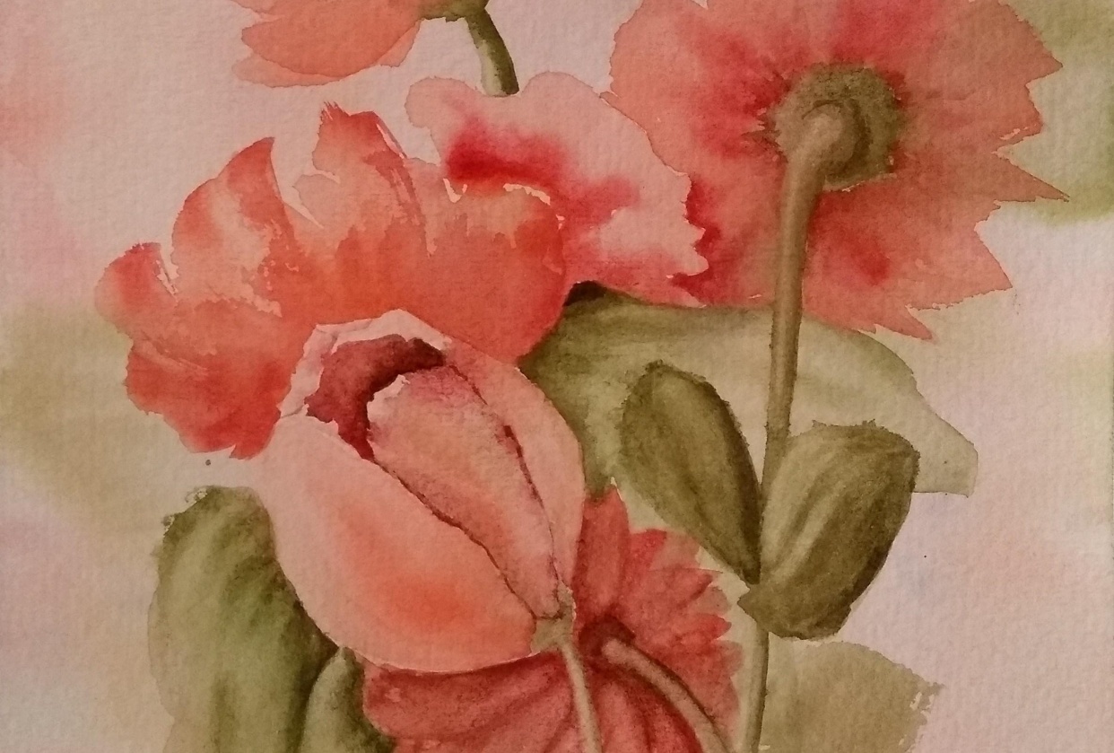 Floral Color Challenge - student project