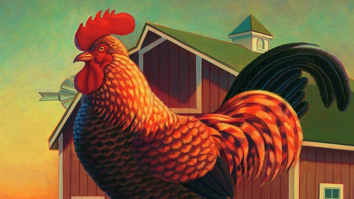 Project: Rooster (Wake Up at 5AM Everyday) | Skillshare Projects