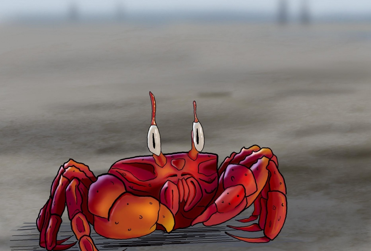 Mr. Crabs - student project