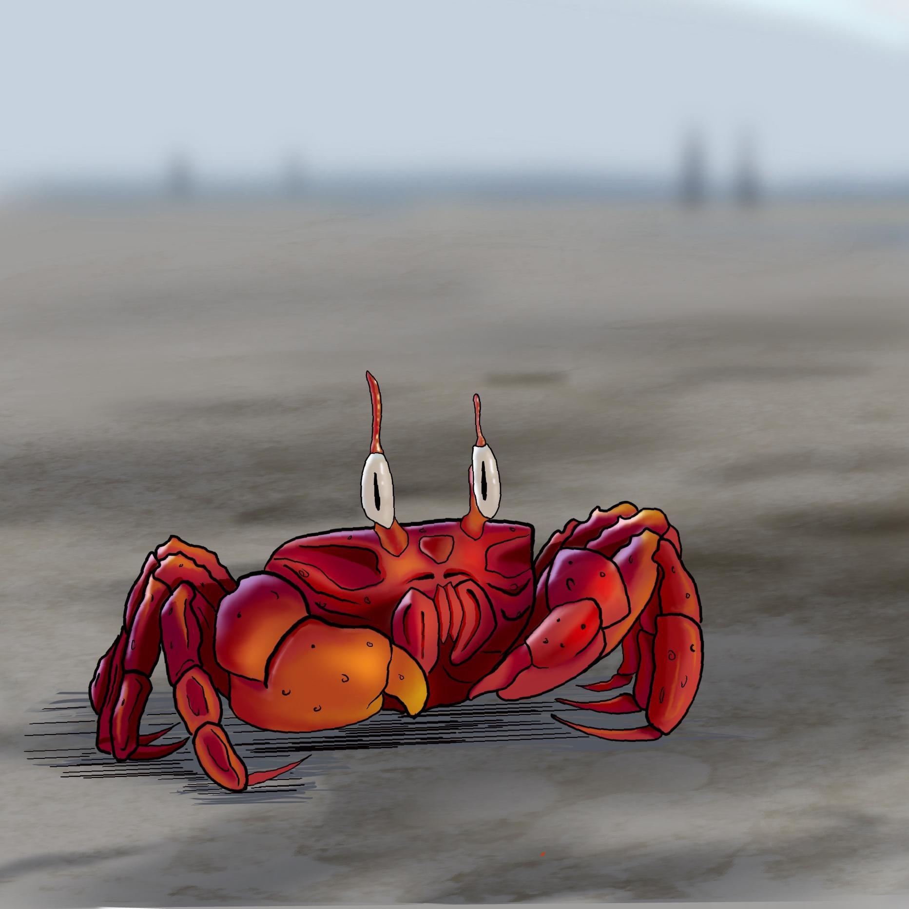 Mr. Crabs - student project