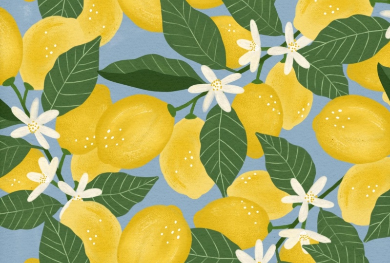 Lemon tree illustration