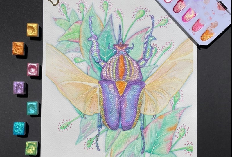 Fearless beetle