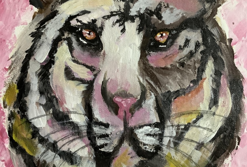 White tiger