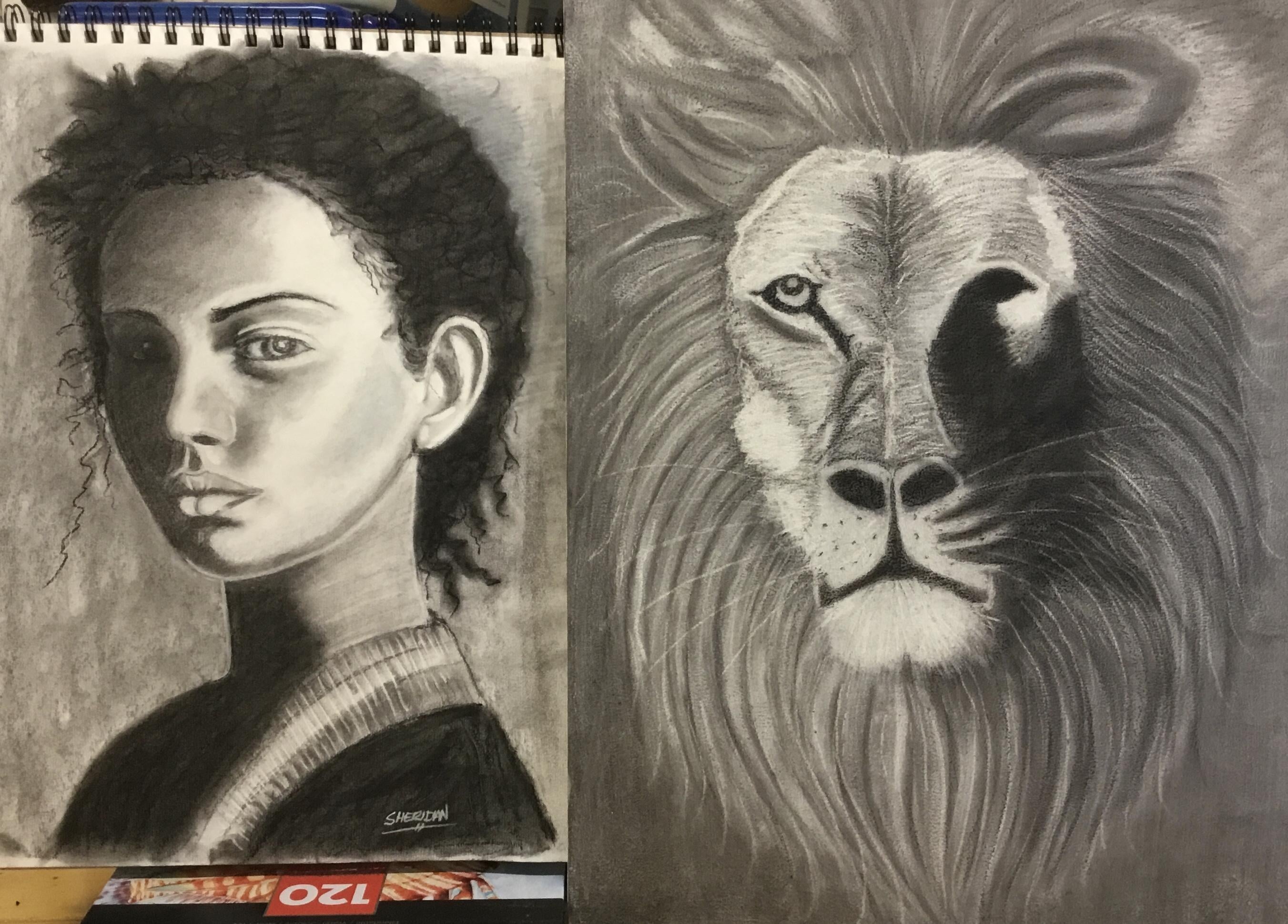 Charcoal lions head - student project