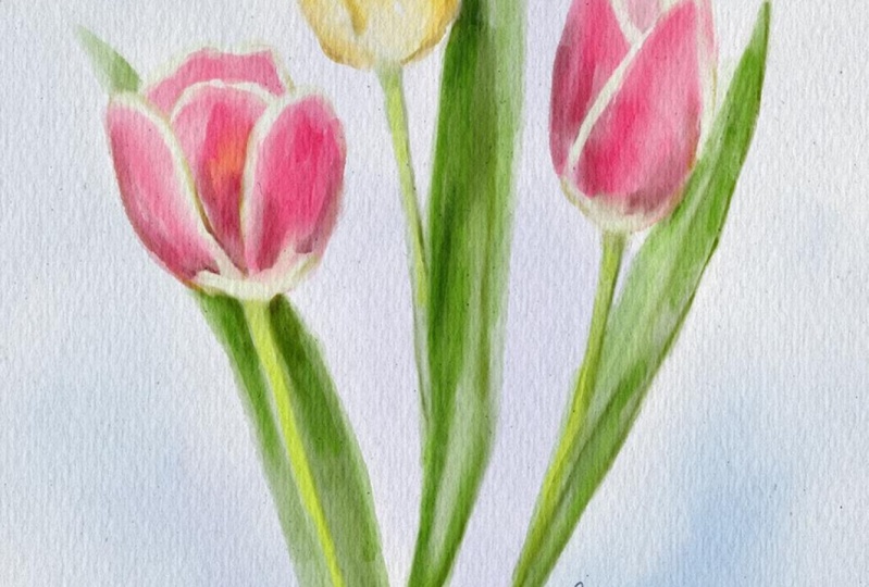 Watercolor Florals