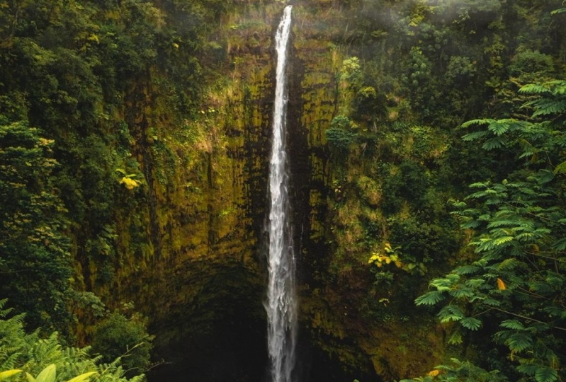 Hawaiian Waterfall