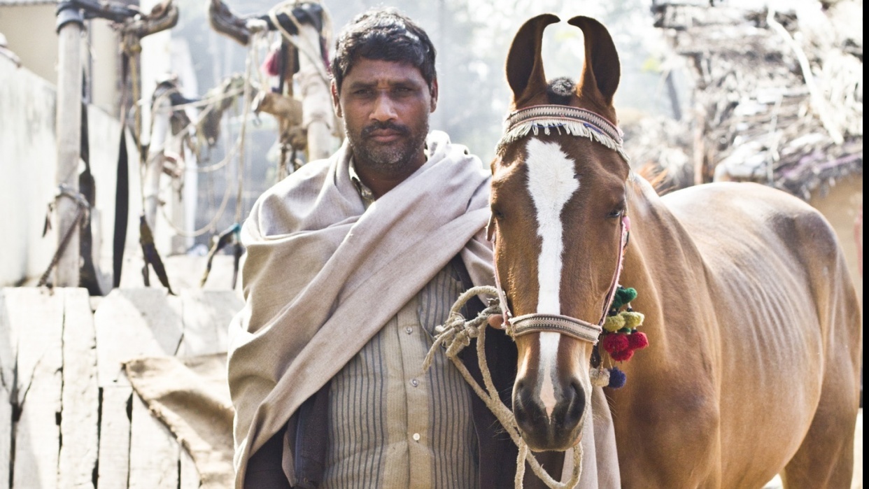 A photo I took while waiting for my ride back to Delhi - student project
