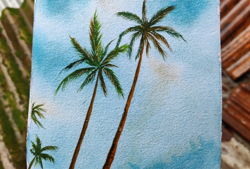Palm trees