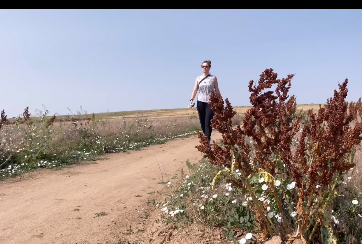Summer Hike - student project