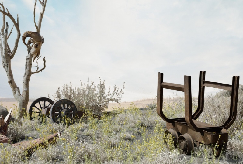 Old mining bones