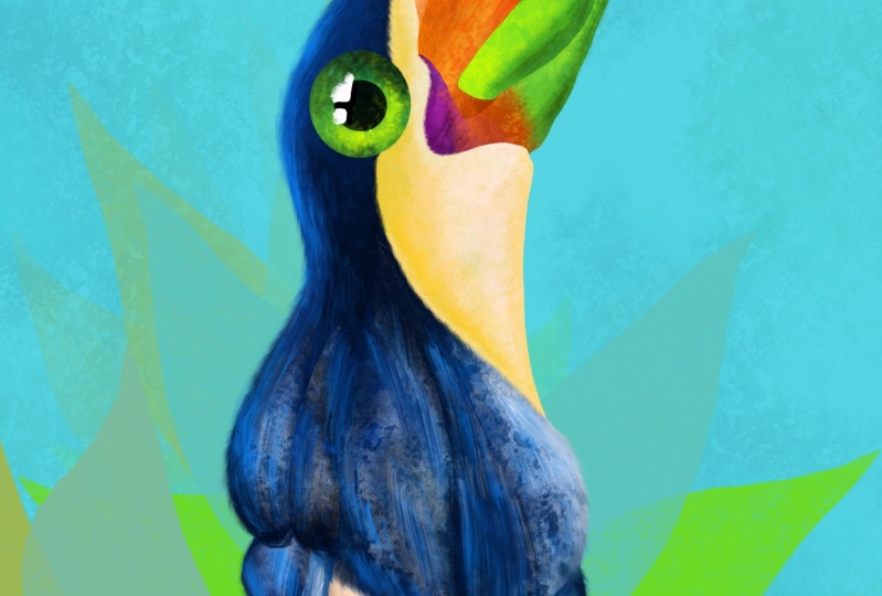 Toucan
