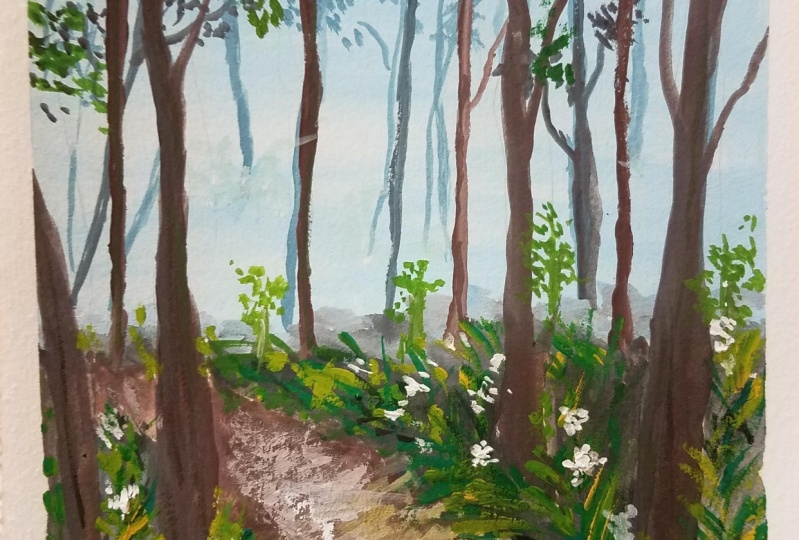 Forest0731