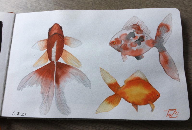 Goldfish