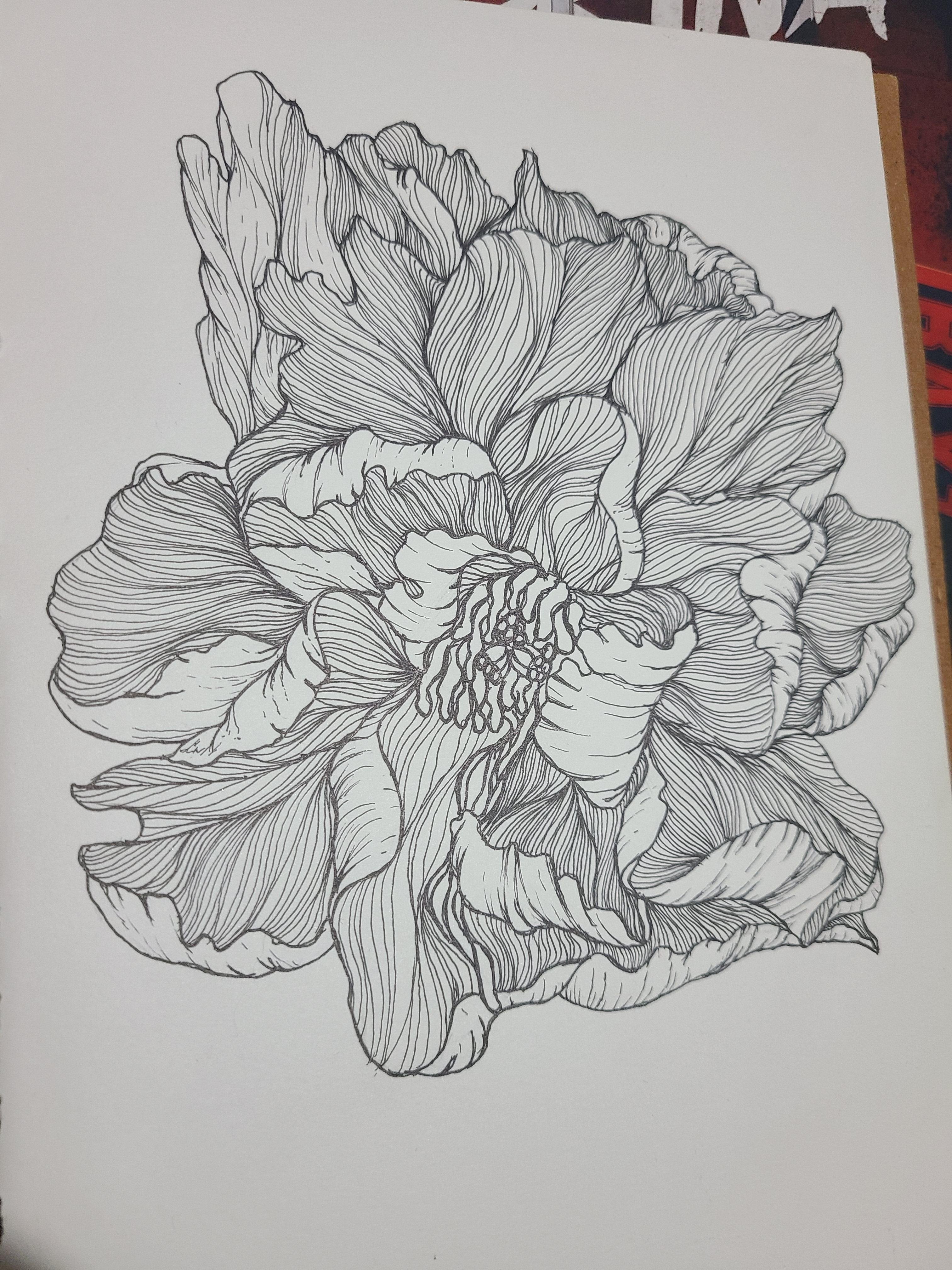 more-projects-from-class-img