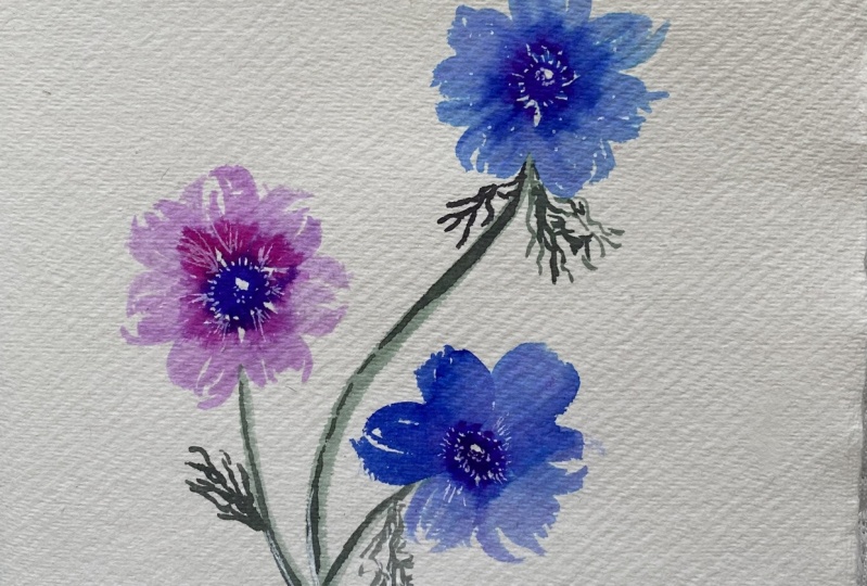 Anemones