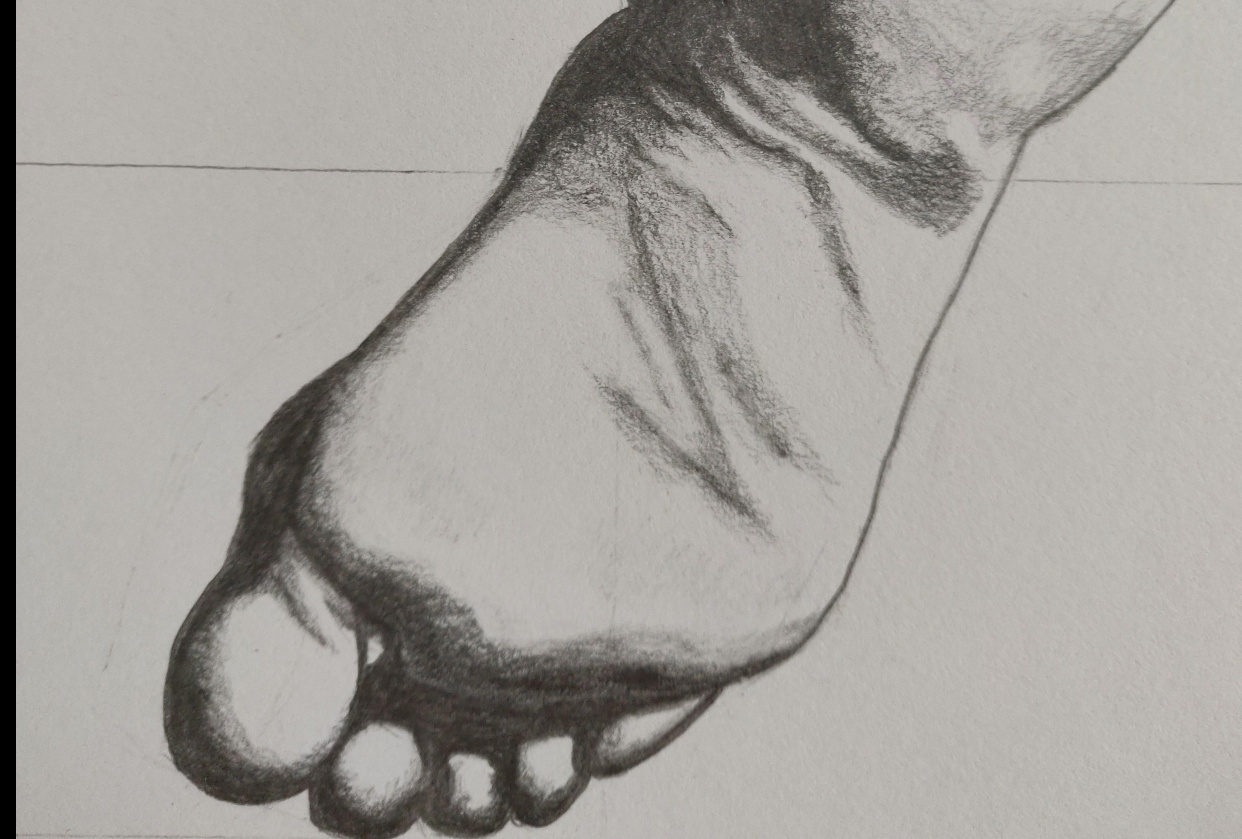 Pl. 8 - student project