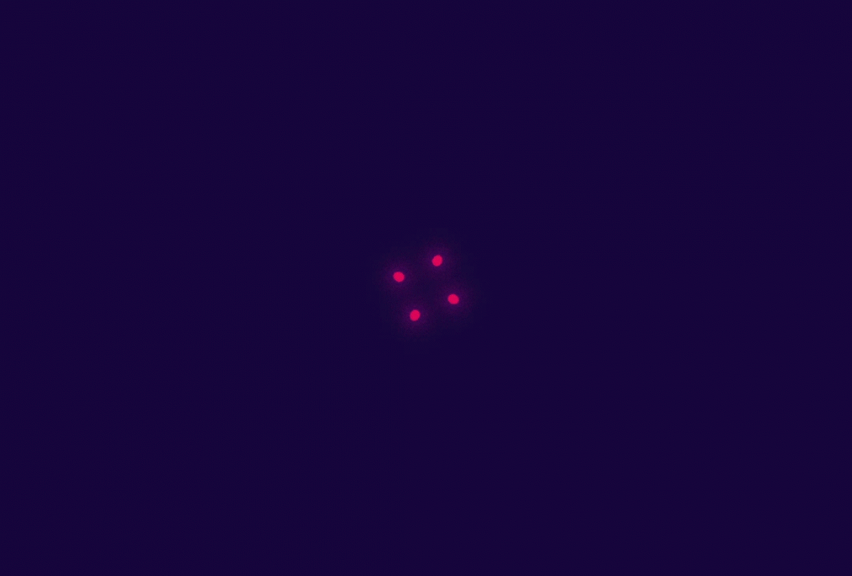 Loop Animation - student project
