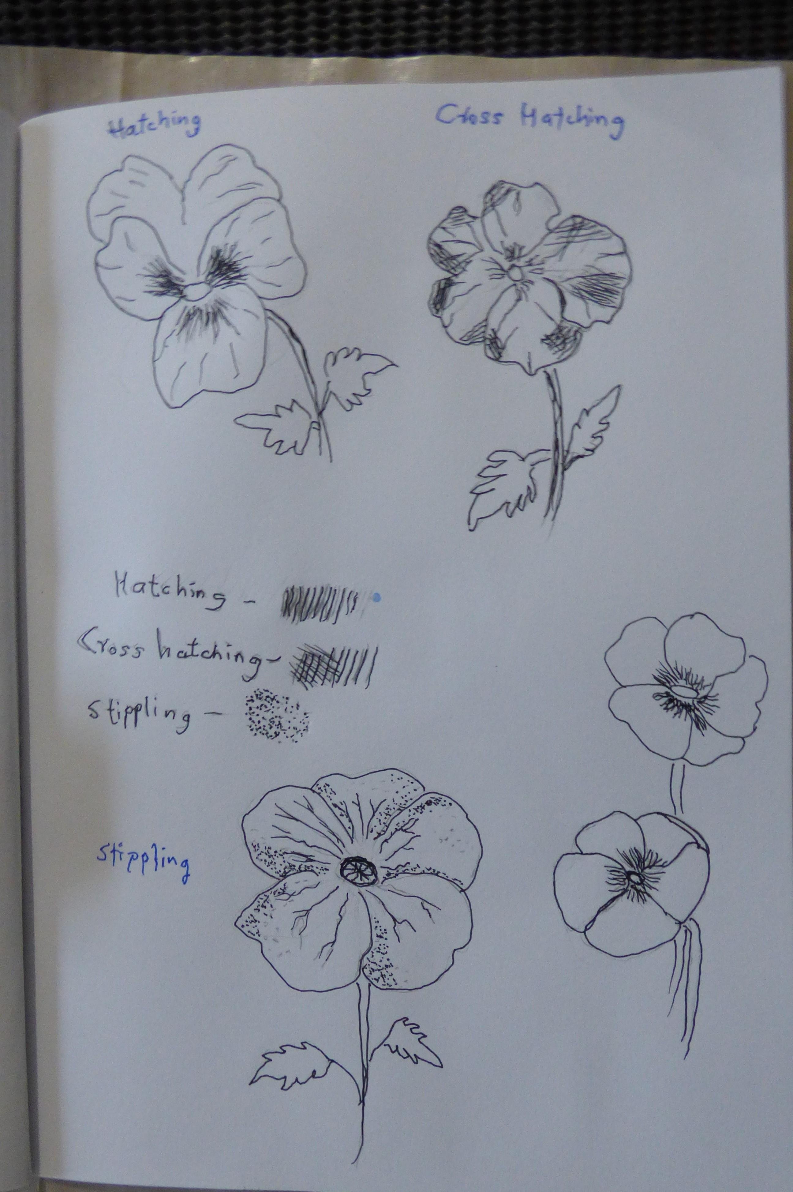 more-projects-from-class-img