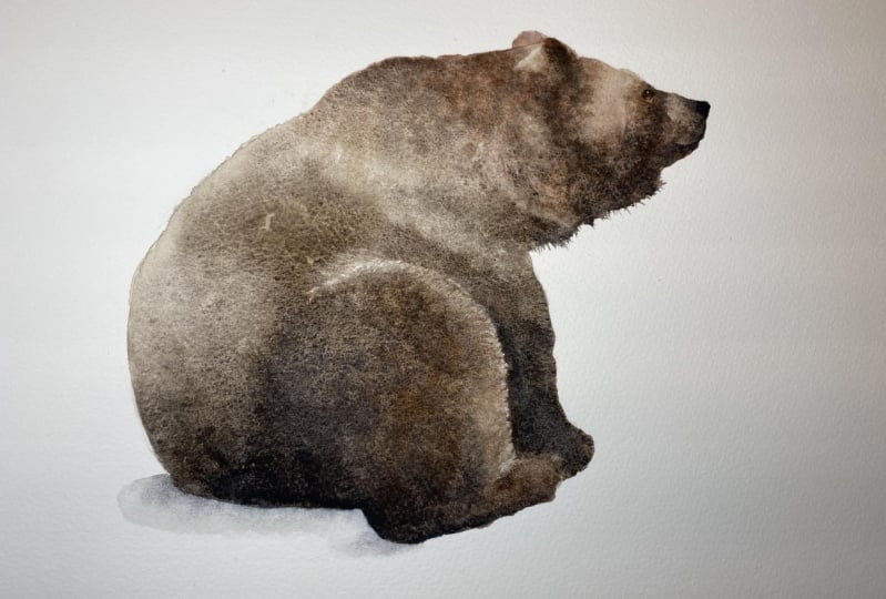 Mr Teddy Bear