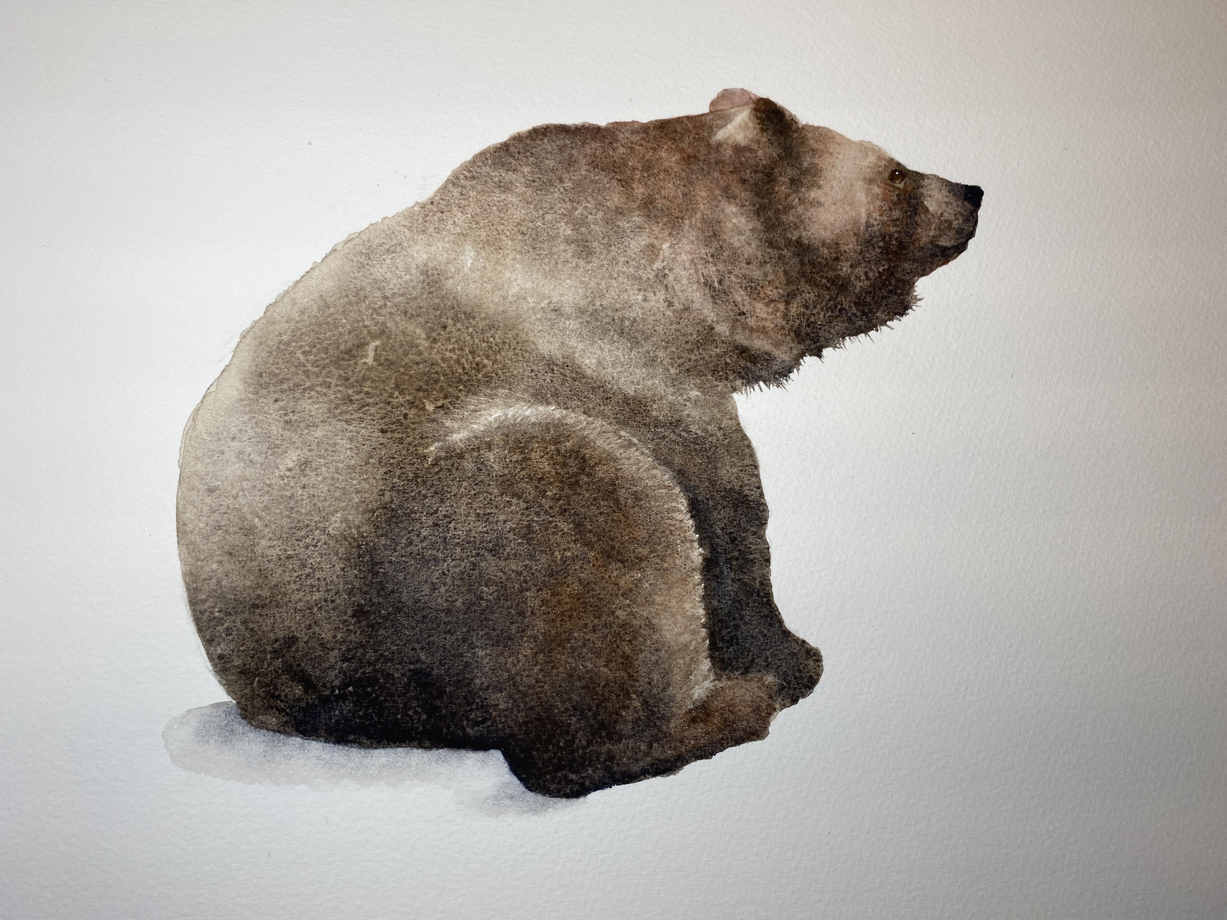Mr Teddy Bear - student project