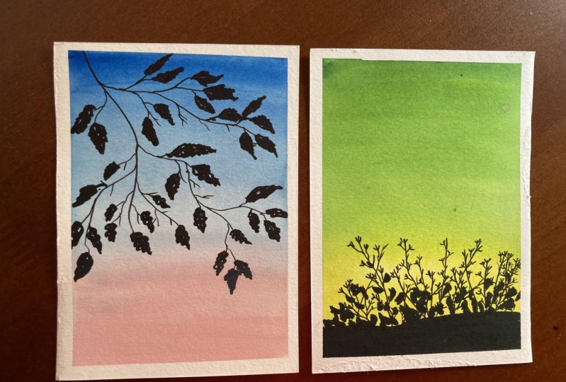 Projects week 1-4