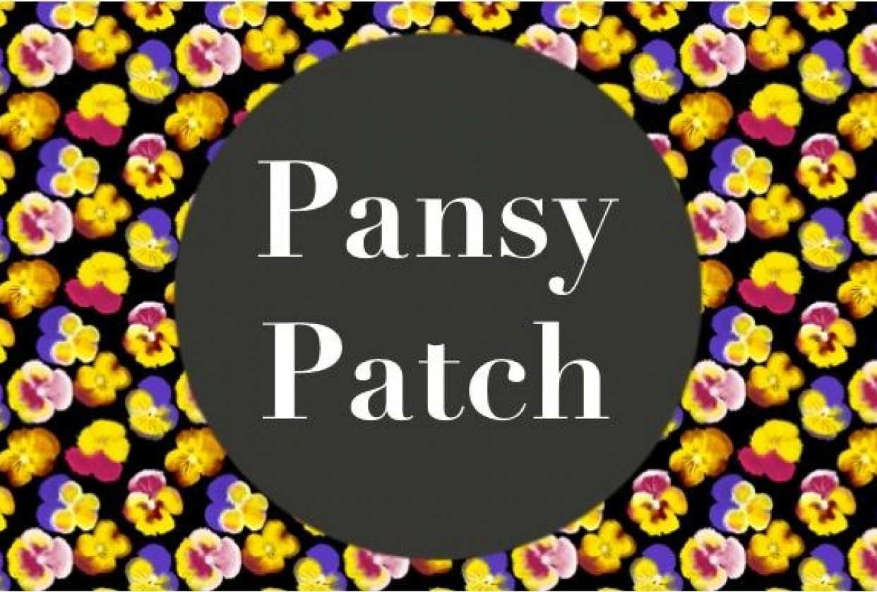 Pansy Patch - student project