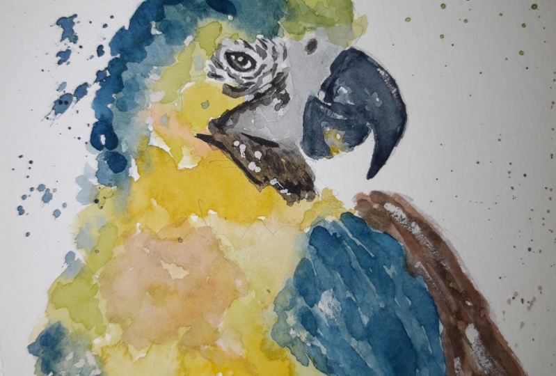 Expressive birds in watercolor