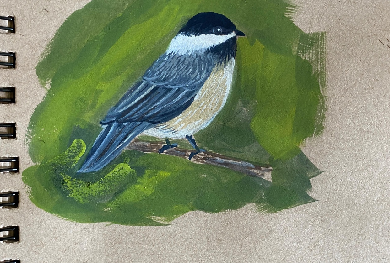 Black Capped Chickadee in Gouache - student project
