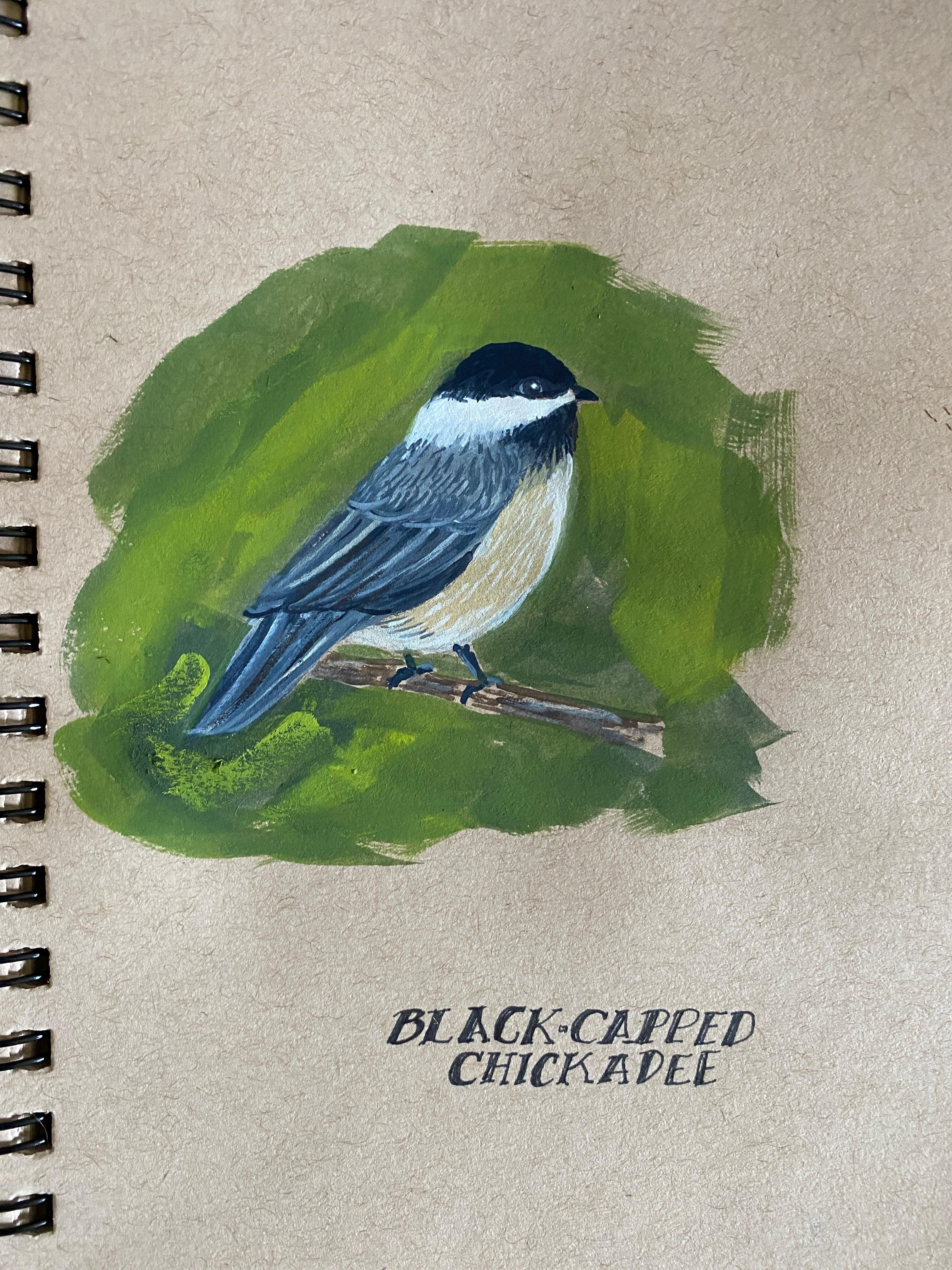 Black Capped Chickadee in Gouache - student project