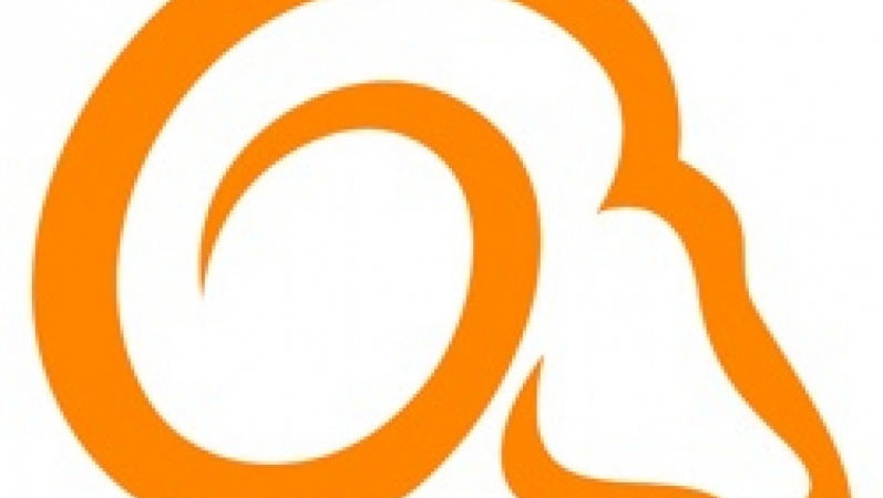 The Ariesology Brand