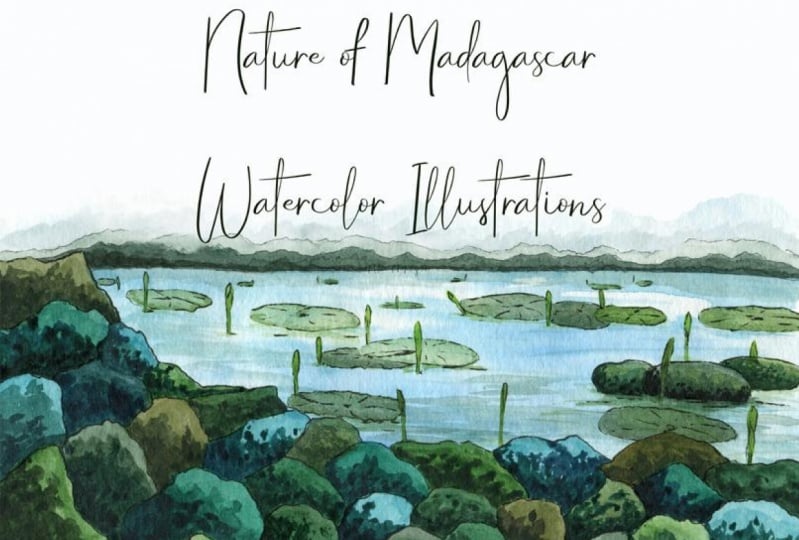My Madagascar