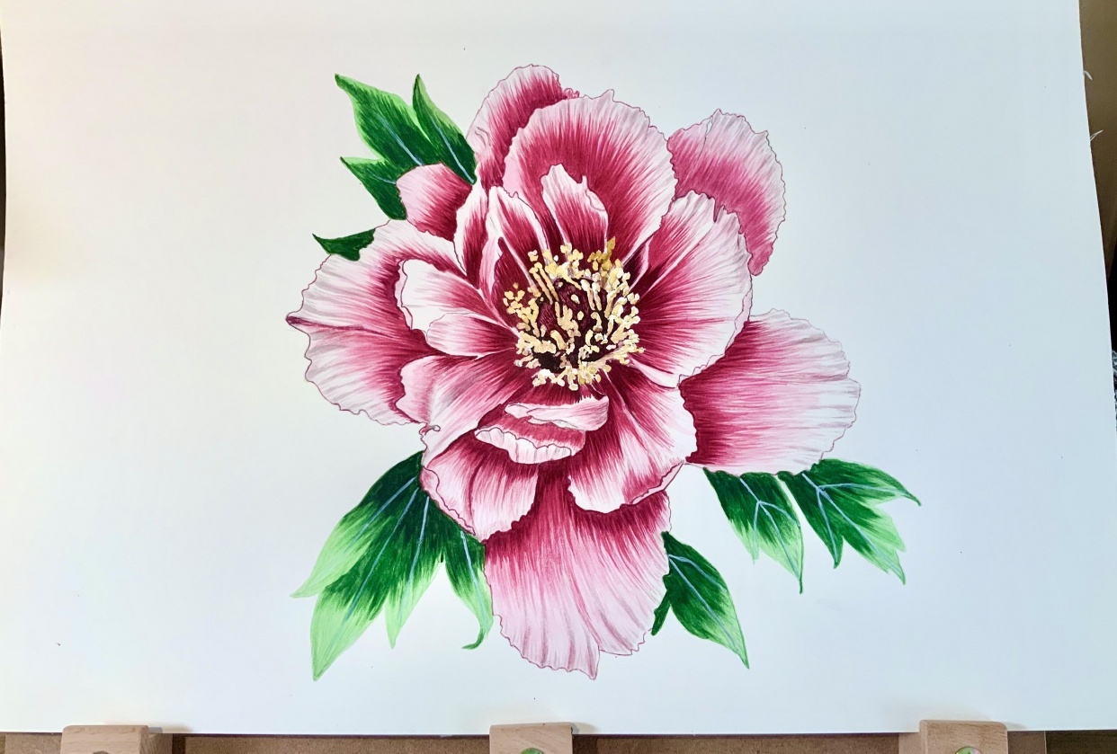 My second try - student project