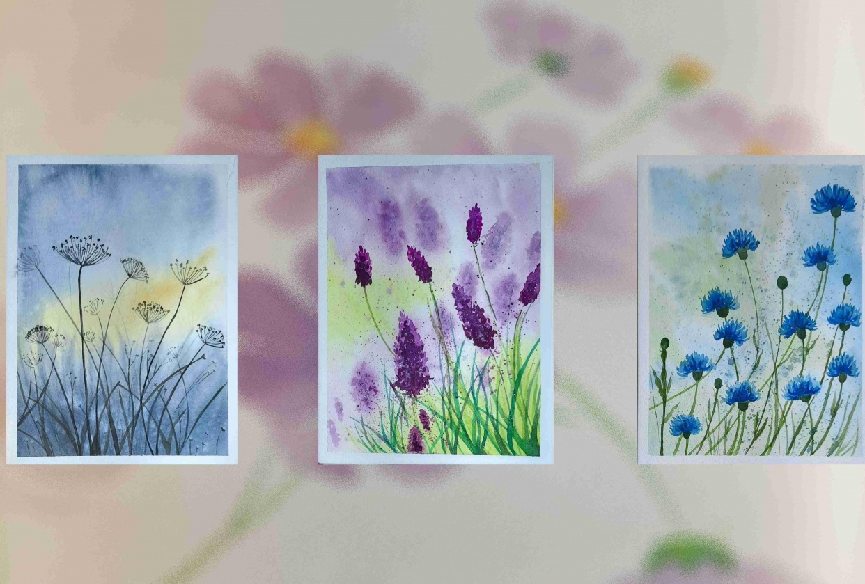 Soft meadows - student project