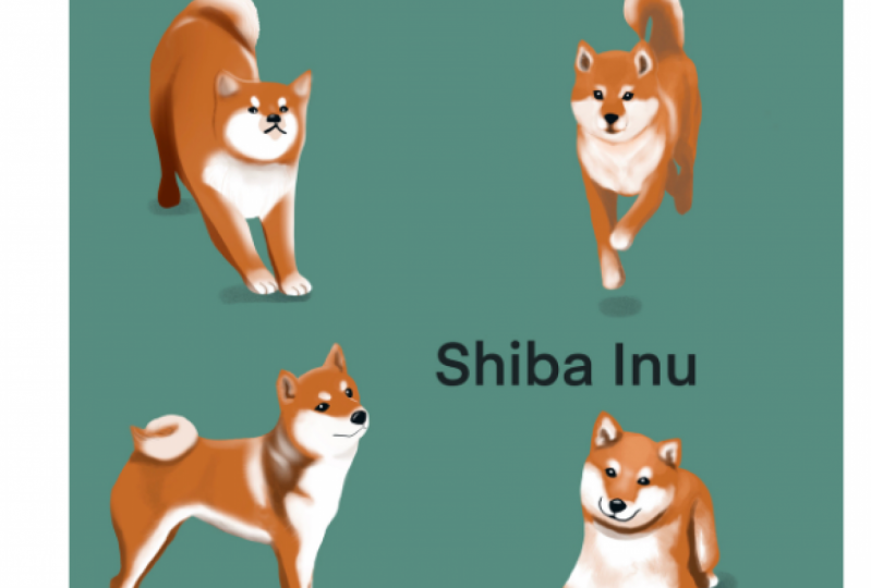 Shiba Inu