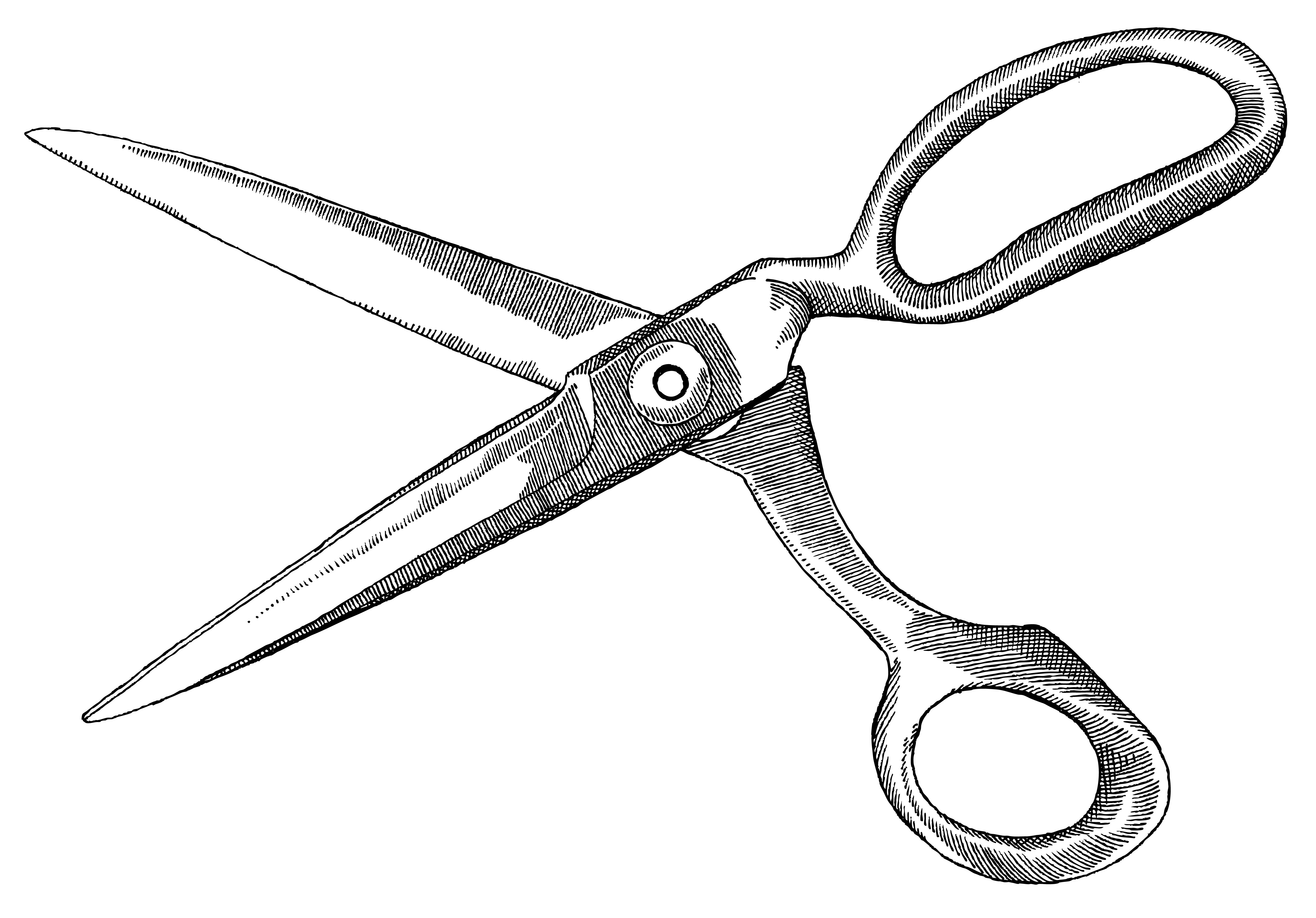 Scissors - student project