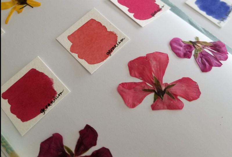 Delightful Nature Journaling!