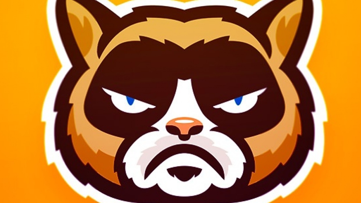Grumpy cat - student project