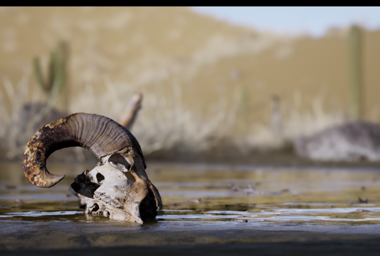 Wasteland - student project