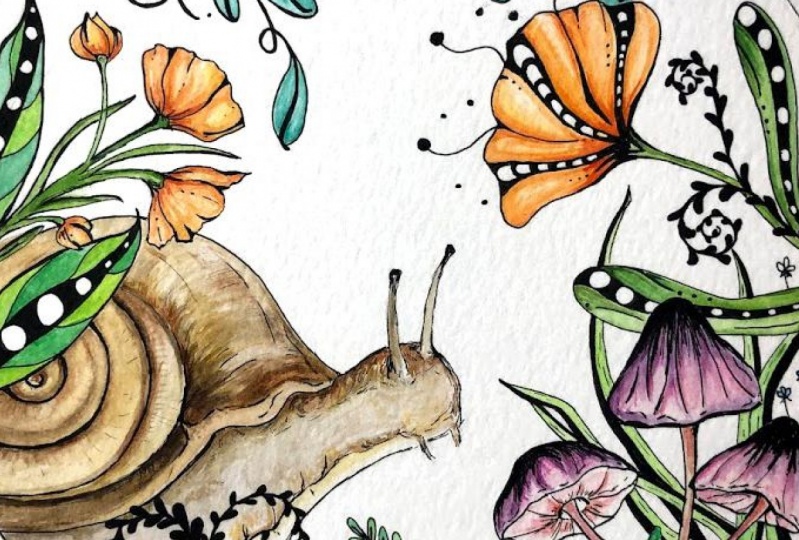 Snail Garden