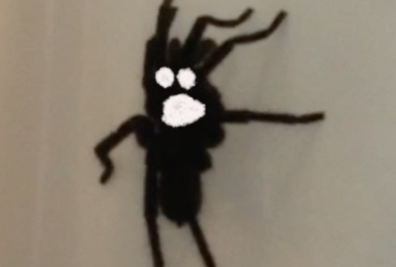 Happy Spider
