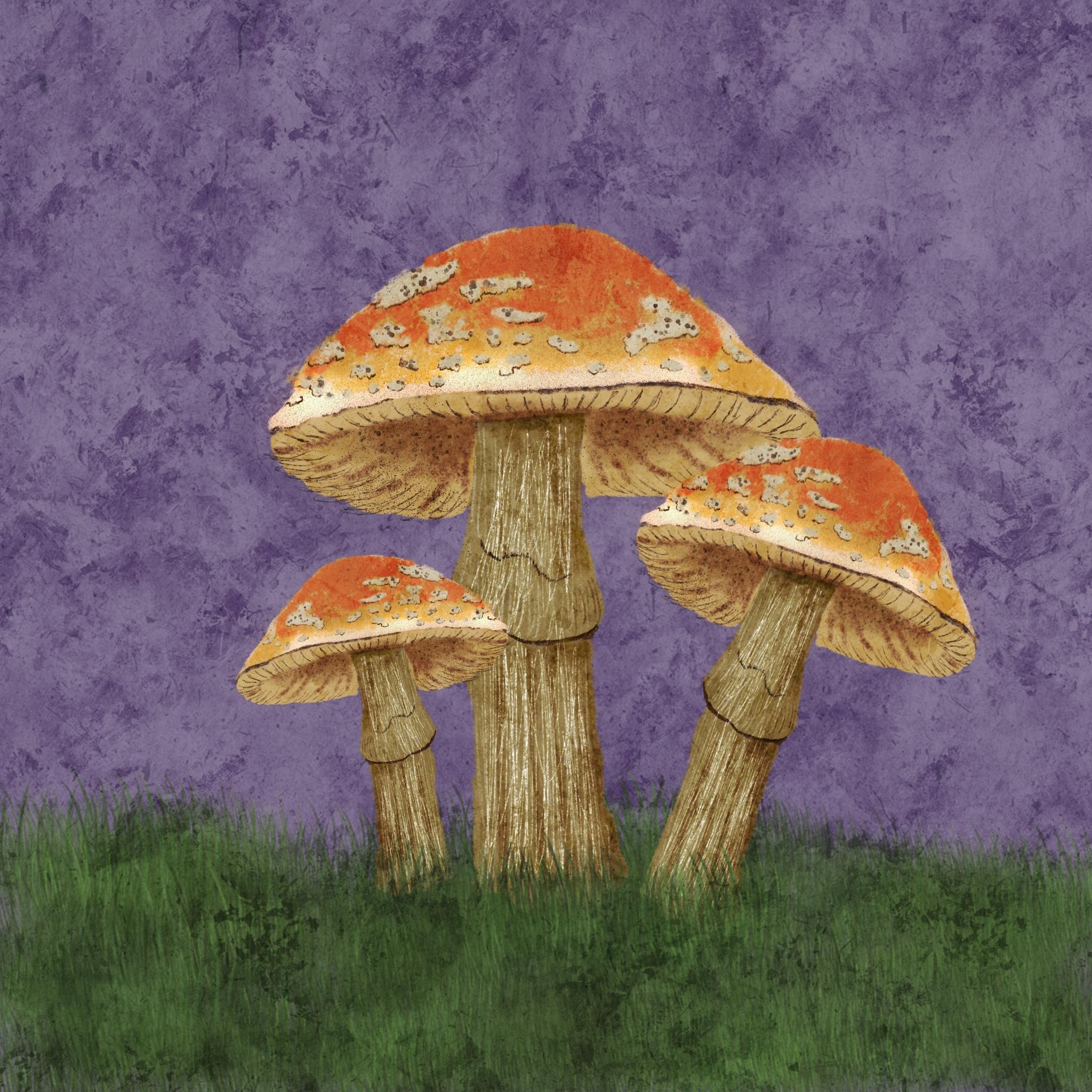 Less Digital Class - student project