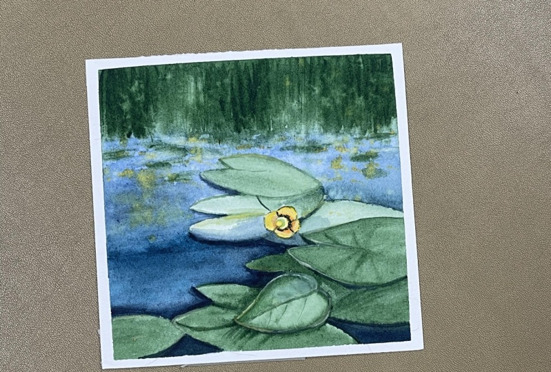 Water lily by ekaterina