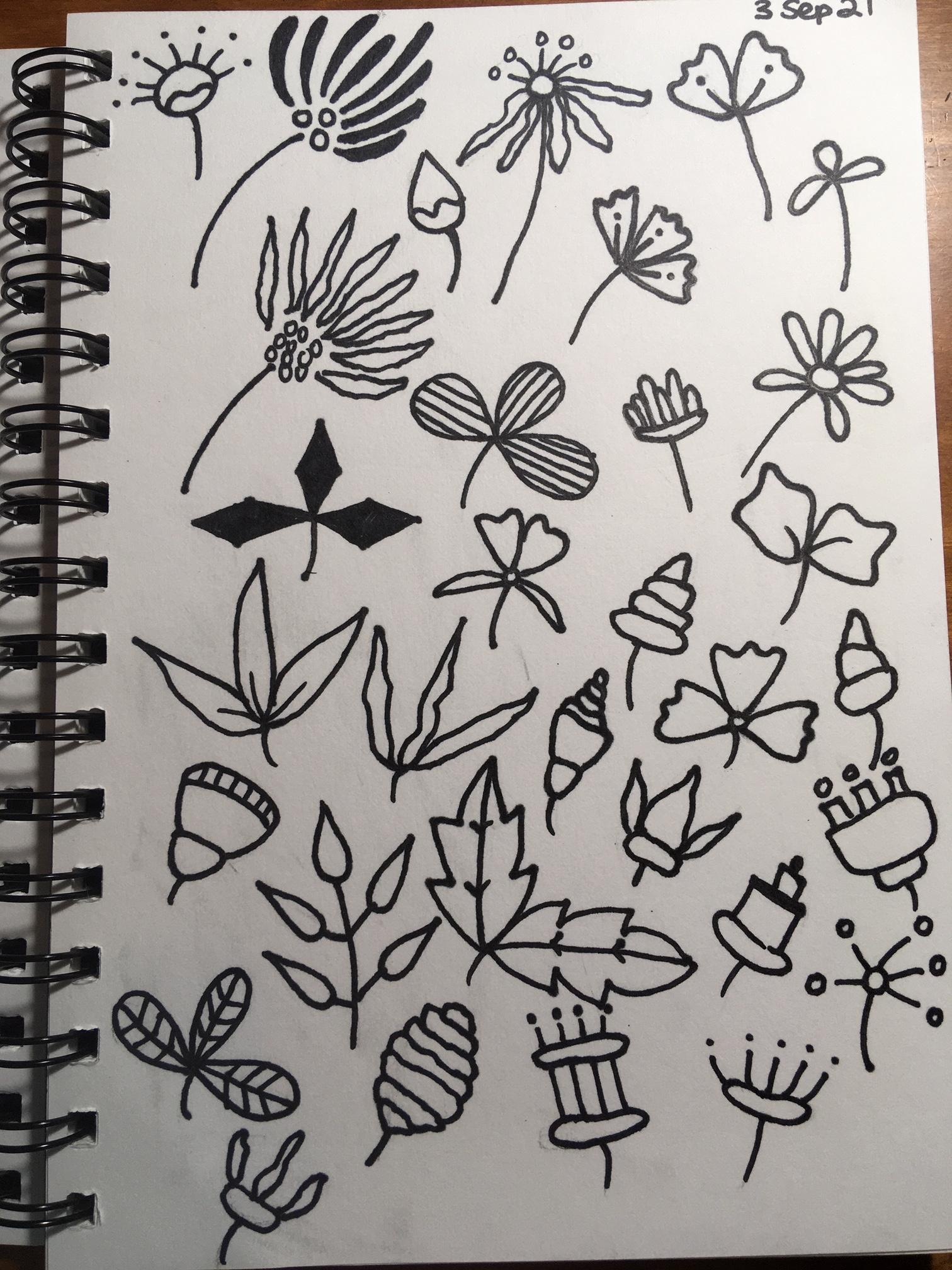 more-projects-from-class-img