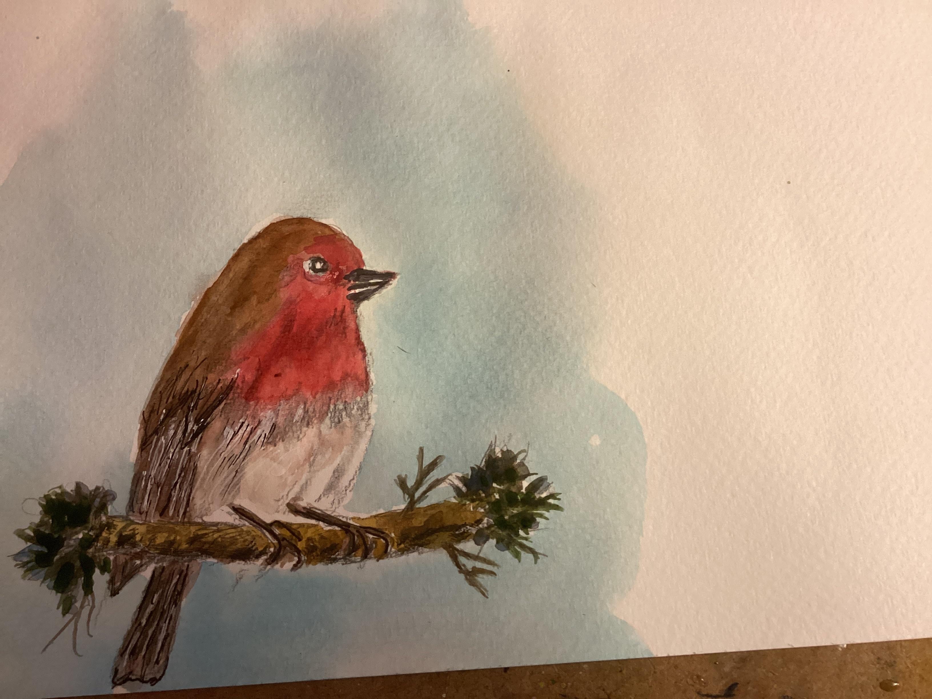 Robin - student project